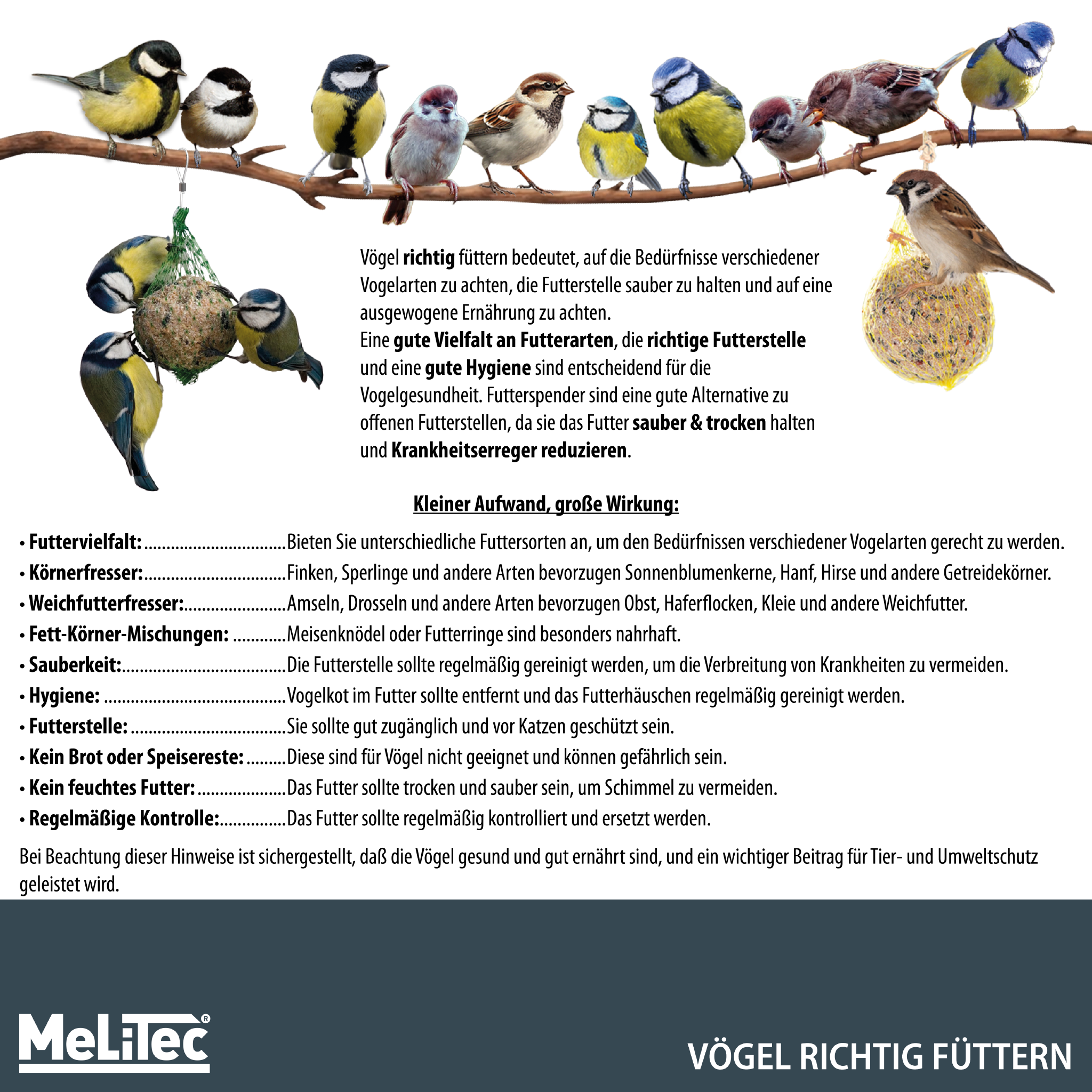 Tier, Vogel, Fink, Werbung, Plakat,
