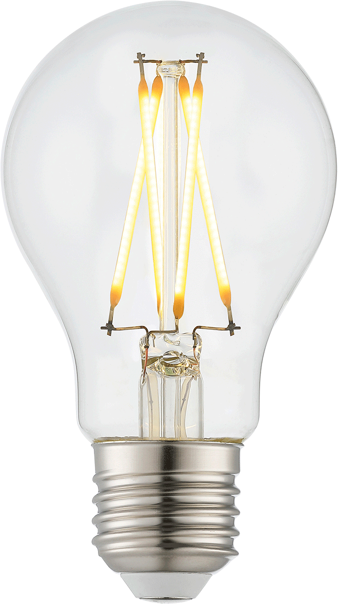 LED-Filament-Leuchtmittel, LF20-2