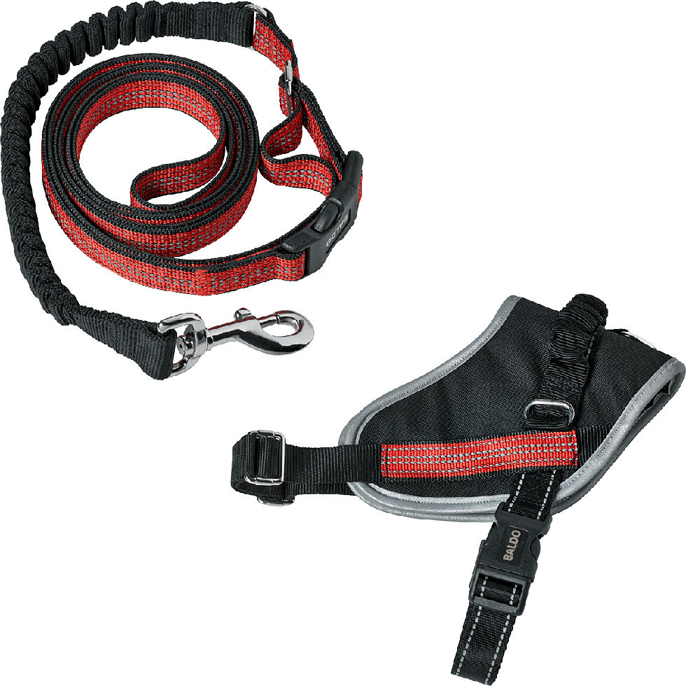 Geschirr + Leine B78 Größe S Geschirr + Leine B78 Größe S