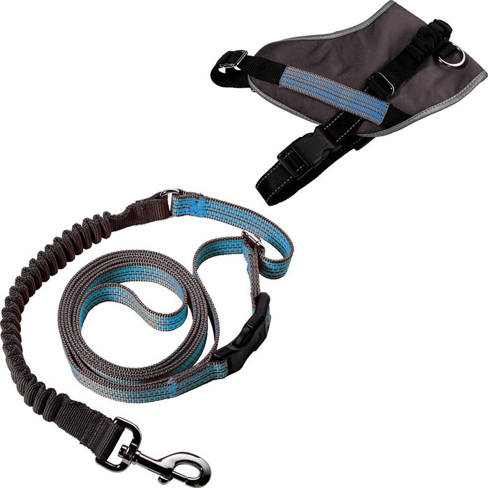 Geschirr + Leine Größe XL B102 blau Geschirr + Leine Größe XL B102 blau