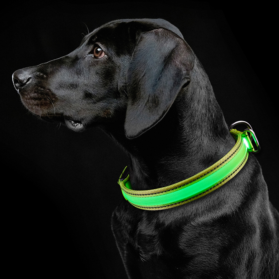 LED Hundehalsband B110 Größe M LED Hundehalsband B110 Größe M