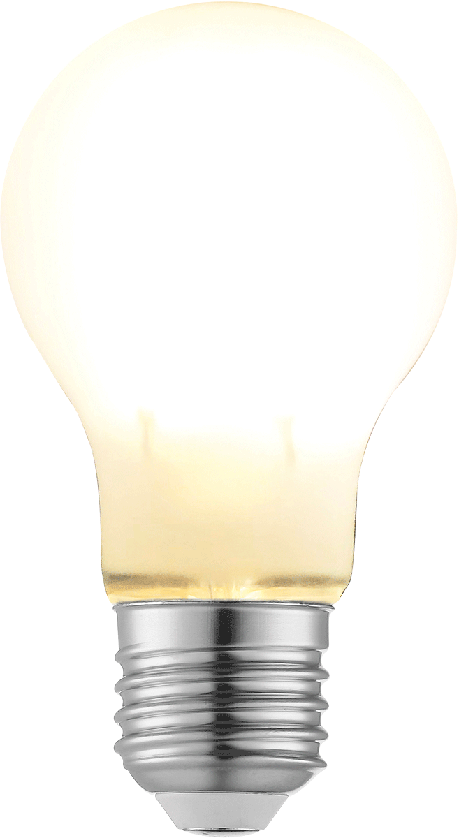 LED Filament Leuchtmittel LF21-2