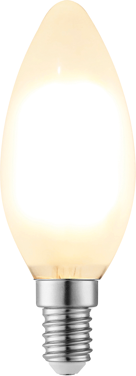 2 x LED Filament Leuchtmittel LF22-2
