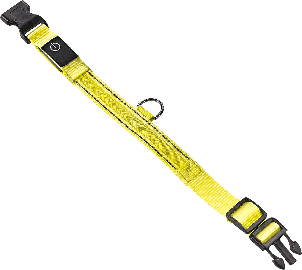 LED Hundehalsband B25 Größe S LED Hundehalsband B25 Größe S