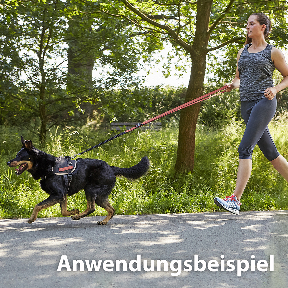 Geschirr + Leine B100 Größe S Geschirr + Leine B100 Größe S