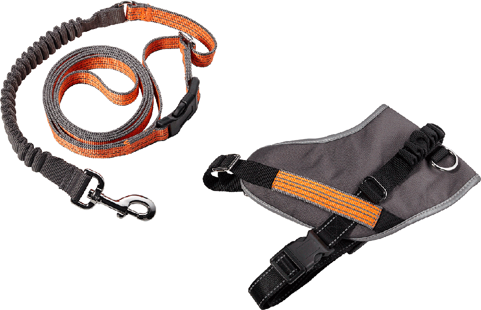 Geschirr + Leine B100 Größe S Geschirr + Leine B100 Größe S