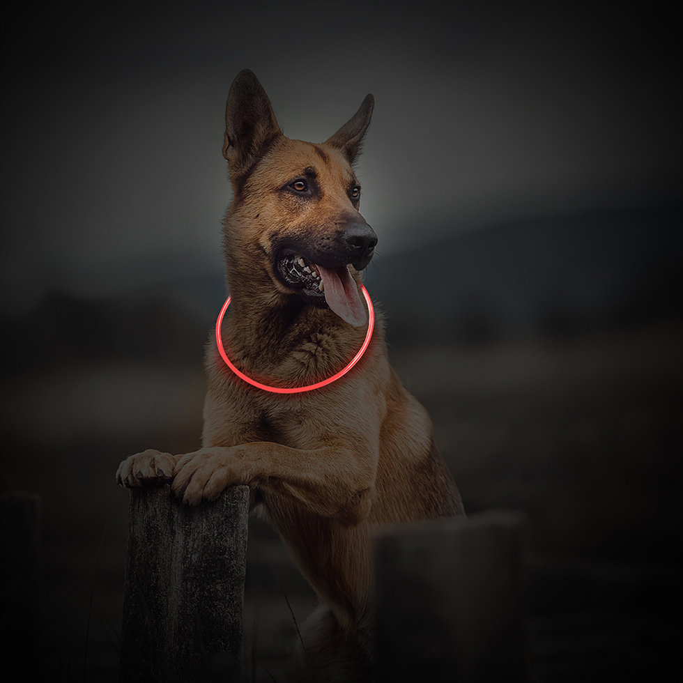 LED Leuchtband B114 rot LED Leuchtband B114 rot