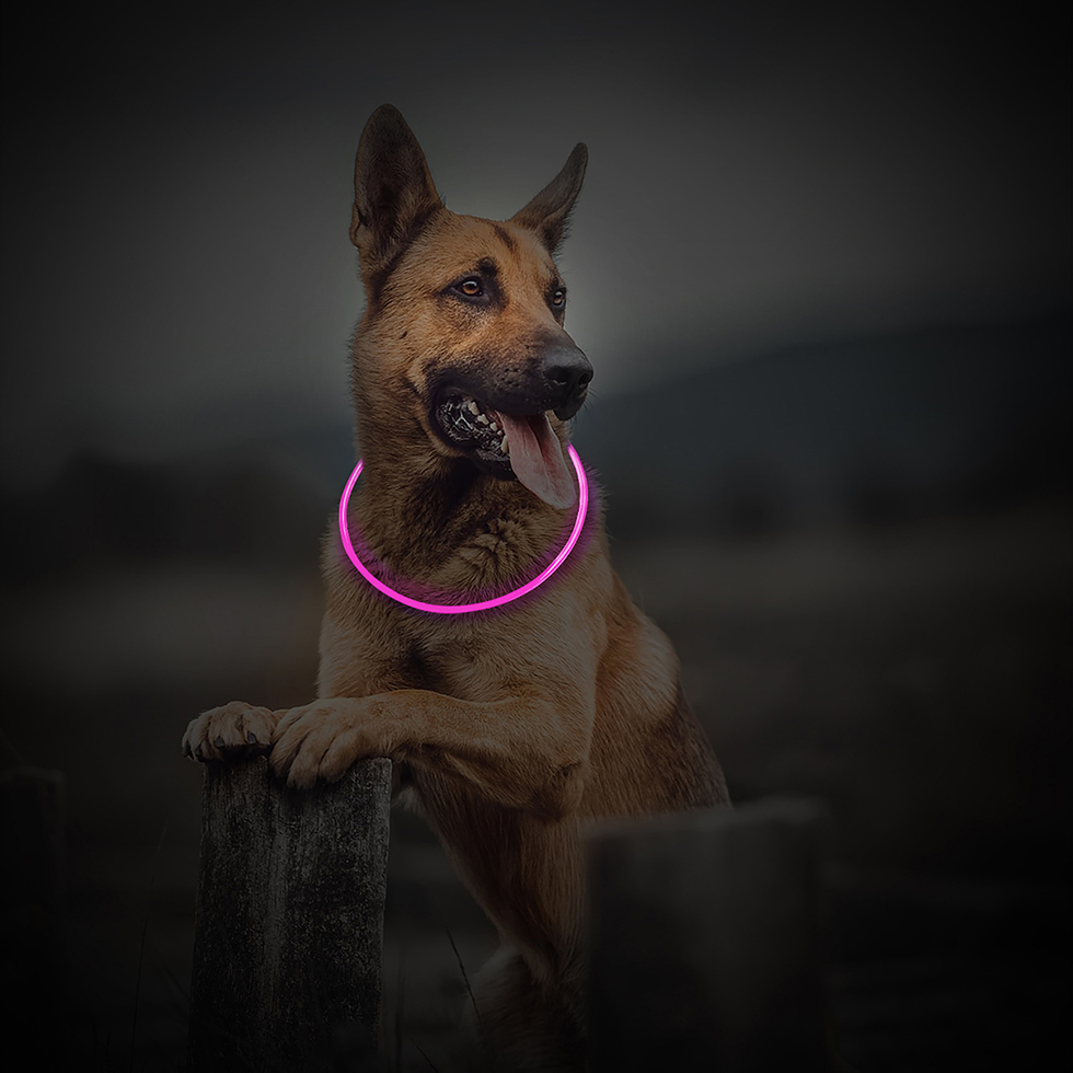 LED Leuchtband B113 violett LED Leuchtband B113 violett