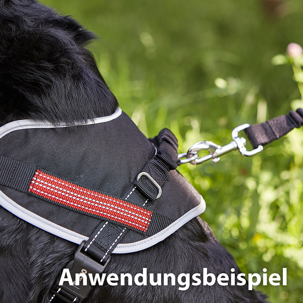 Geschirr + Leine B100 Größe S Geschirr + Leine B100 Größe S