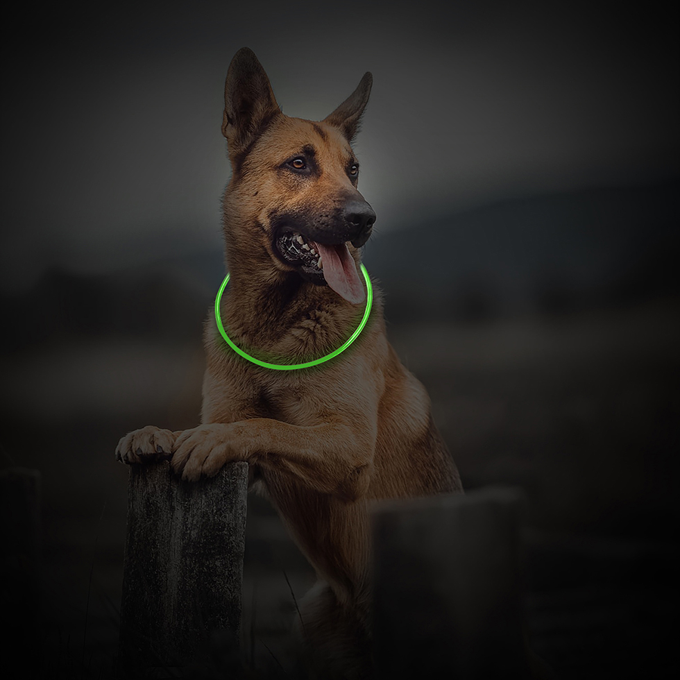 LED Leuchtband B112 grün LED Leuchtband B112 grün