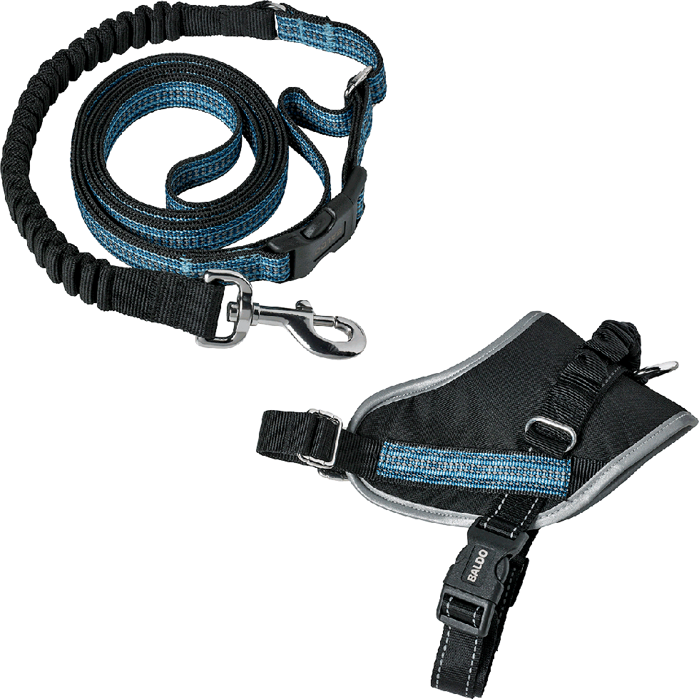 Geschirr + Leine B79 Größe M Geschirr + Leine B79 Größe M