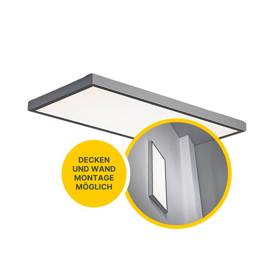 LED Wandleuchte / Deckenleuchte D63-1 chrom-matt LED Wandleuchte / Deckenleuchte D63-1 chrom-matt